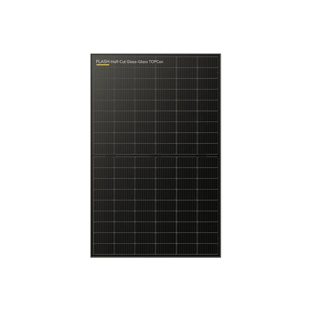 MODULE DUALSUN BI-VERRE BI-FACIAL FULL BLACK 425Wc