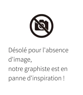 GESTIONNAIRE DE CASCADE