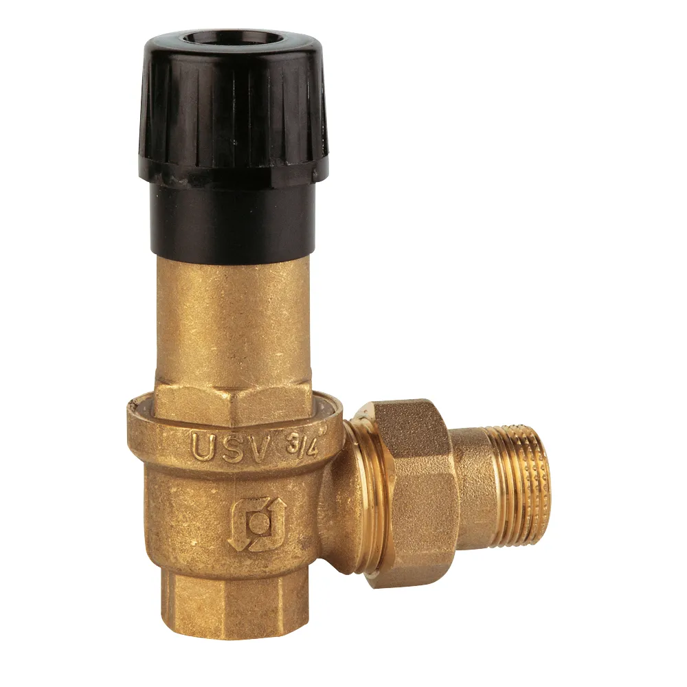 Soupape différentielle 1"