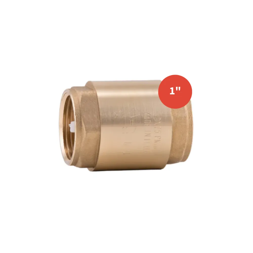 CLAPET ANTI-RETOUR 1"