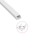 Goulotte électrique 22x10 2ML