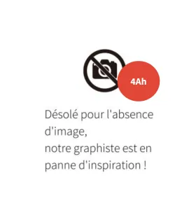 Batterie WIPCOOL 4Ah + chargeur