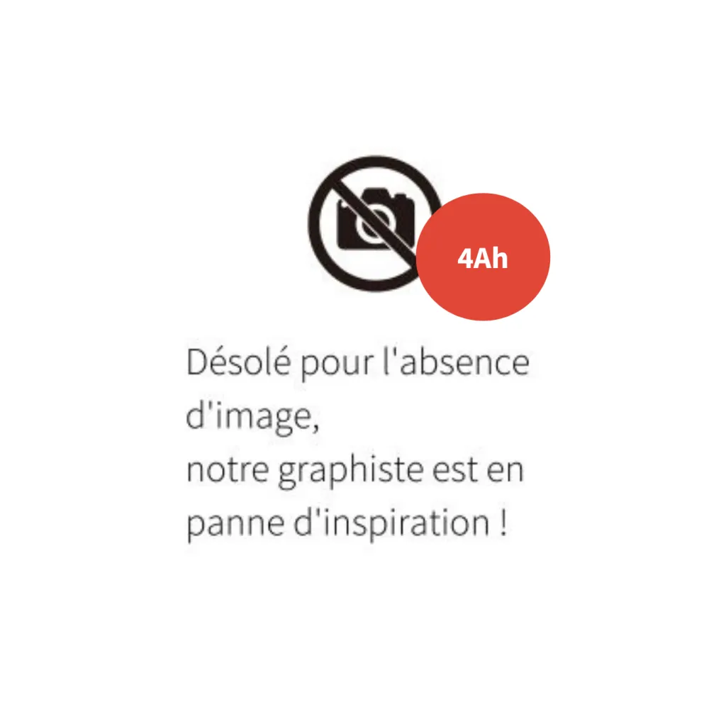 Batterie WIPCOOL 4Ah + chargeur