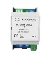 Gateway câble Hitachi RPI