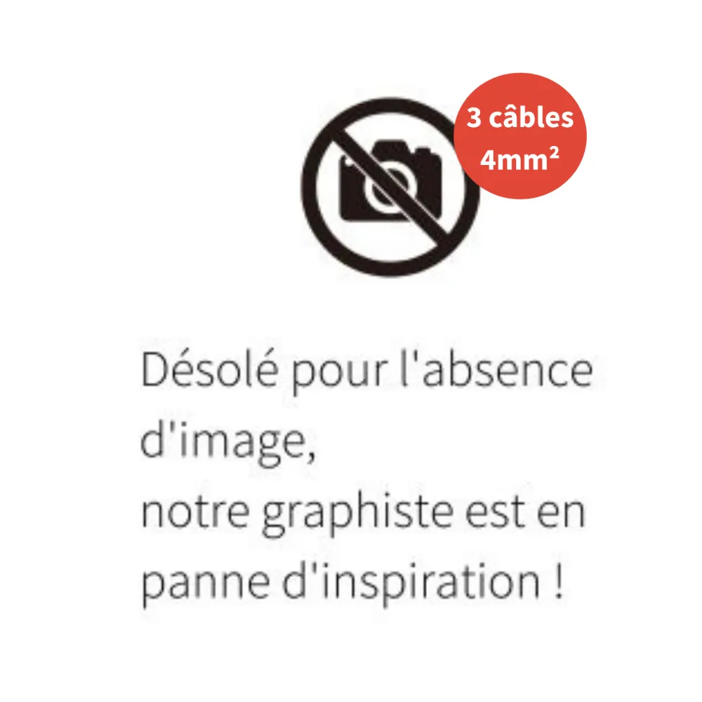Câble électrique FR-N1X6G3 50M - 3 câbles - 4mm²