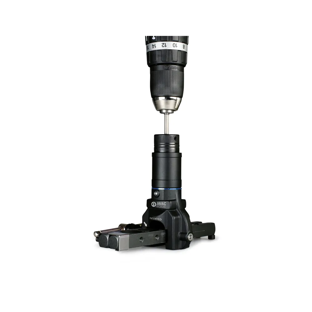 DUDGEONNIERE EXENTRIQUE VISSEU