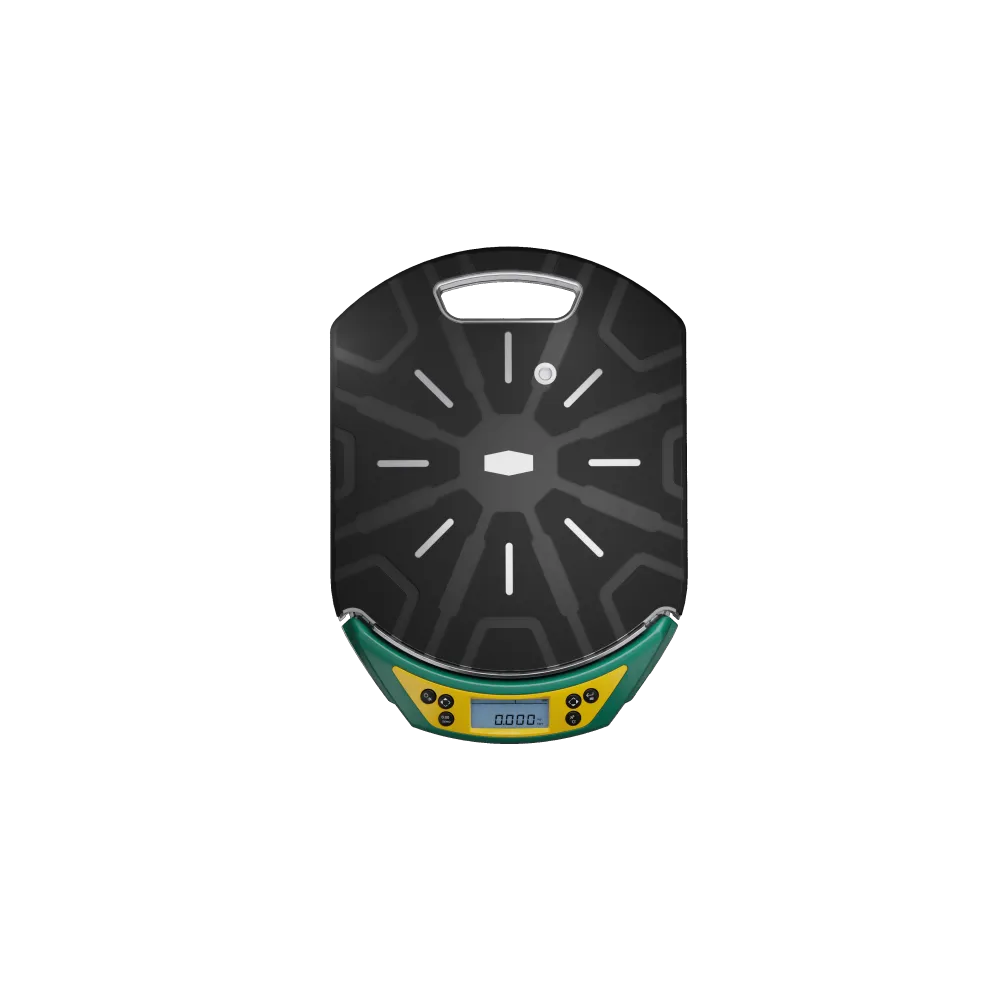 BALANCE DE CHARGE ELECTRONIQUE