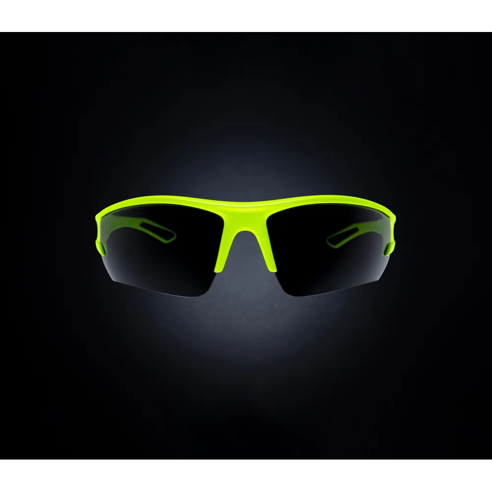 LUN SECU VERRES FUMÉS FONCÉS